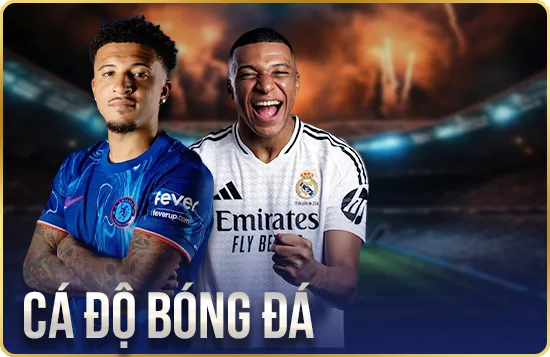 Cá cược đá bóng Bong88